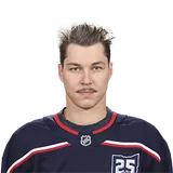 Elvis Merzlikins