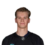 Ville Ottavainen