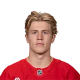 Michael Brandsegg-Nygård