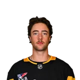 Harrison Brunicke